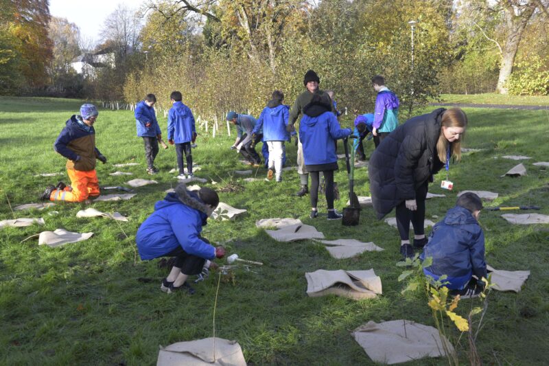 Pupils from Carlibar Park Primary School help to plant SCAN's Wee Wood