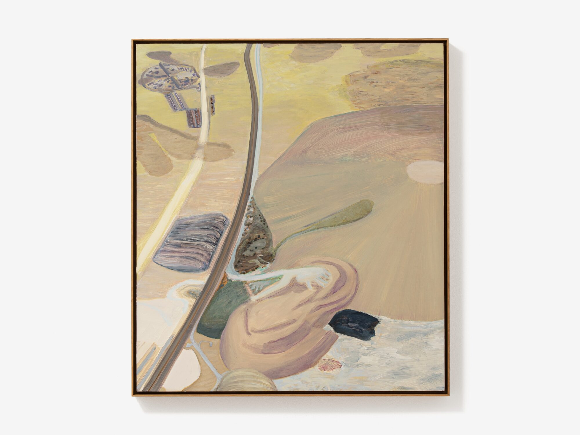 Carol Rhodes: Her Work & Legacy