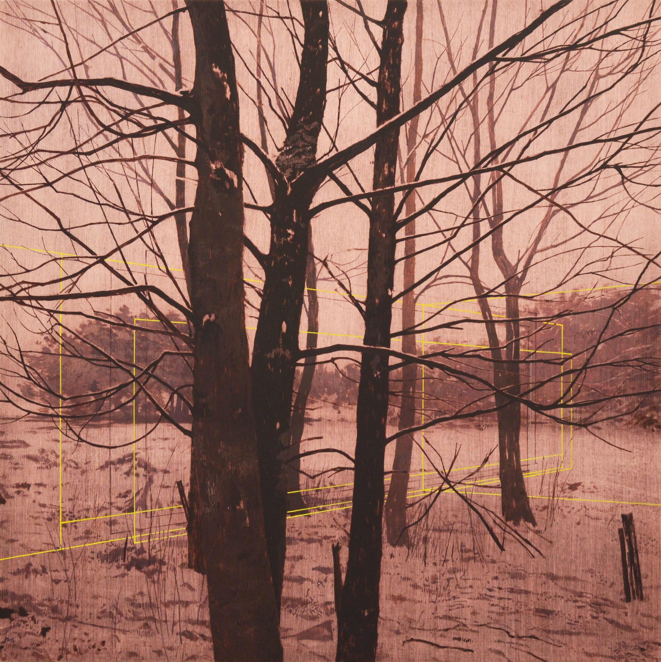 Andrew Mackenzie :: Ground Lines