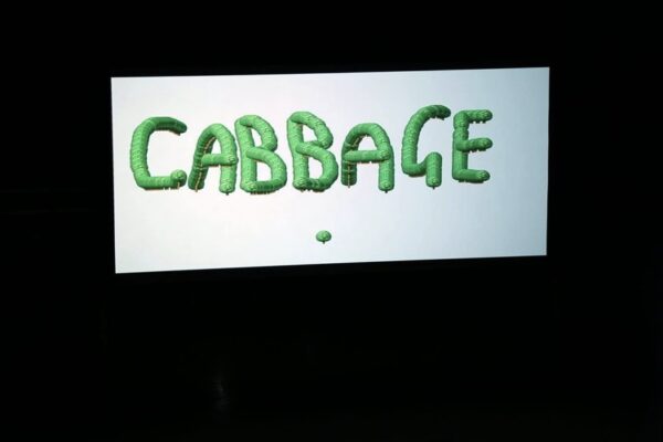 Profile picture of Cabbage